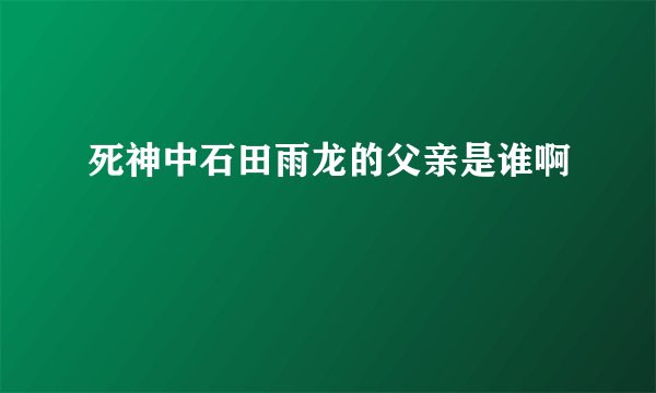 死神中石田雨龙的父亲是谁啊