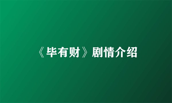 《毕有财》剧情介绍
