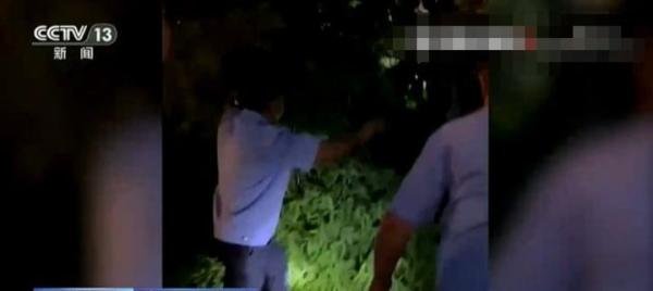 央视曝光明星“代拍”产业链相关新闻,原来里面还有那么多猫腻!