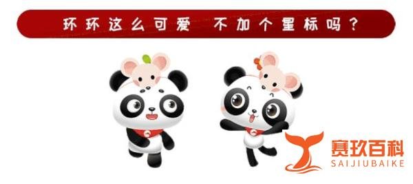 朝鲜内阁总理金才龙赴多单位考察