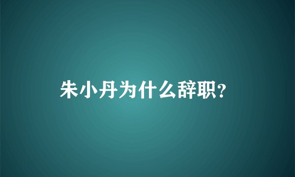 朱小丹为什么辞职？