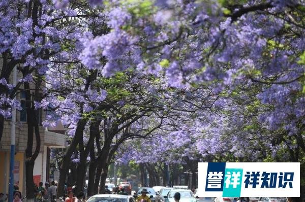 五一假期热门旅游城市天气情况来了，出行前务必提前掌握