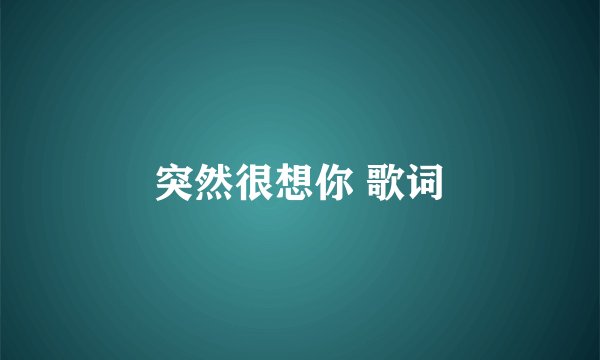 突然很想你 歌词