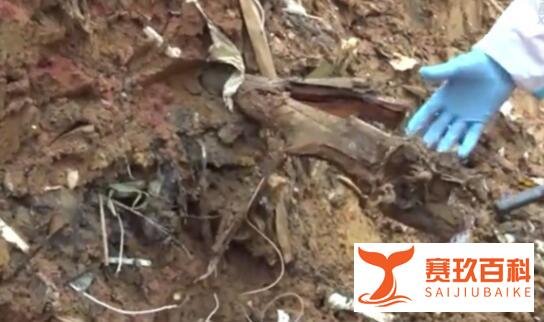 消防讲述黑匣子发现过程:藏树根下 这是咋情况？
