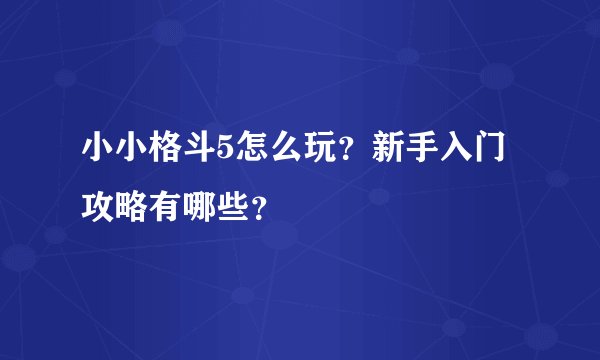 小小格斗5怎么玩？新手入门攻略有哪些？