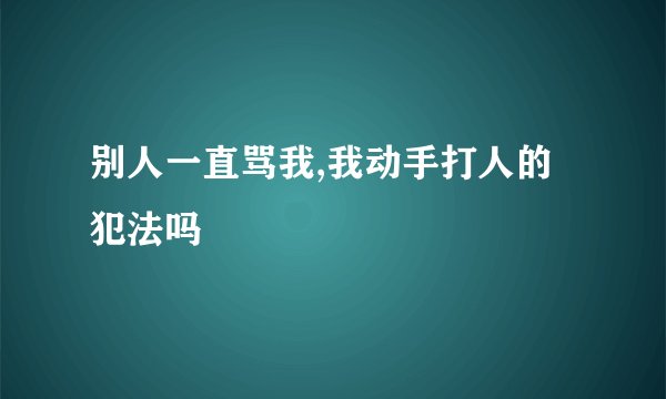 别人一直骂我,我动手打人的犯法吗