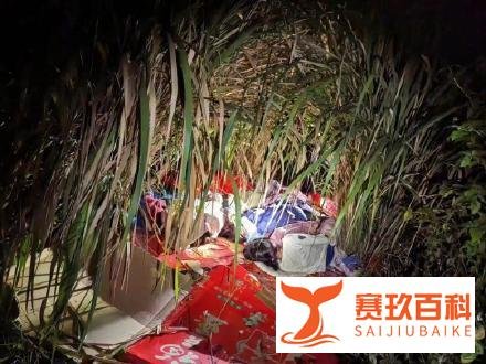 失踪4姐弟凌晨被发现在芦苇丛睡觉，警察翻山遍野找了7个小时