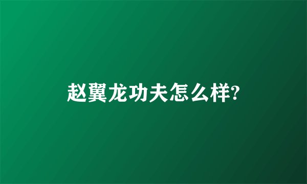 赵翼龙功夫怎么样?