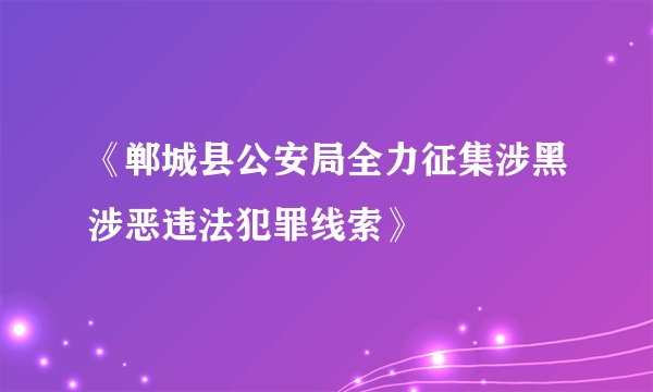 《郸城县公安局全力征集涉黑涉恶违法犯罪线索》