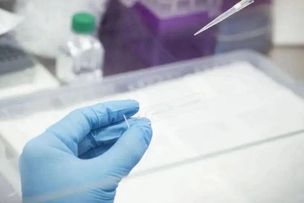 阳性强化法的操作过程不包括