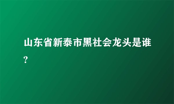 山东省新泰市黑社会龙头是谁?
