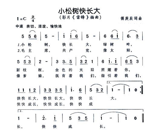 小松树快长大的歌词