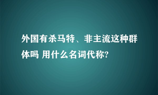 外国有杀马特、非主流这种群体吗 用什么名词代称?