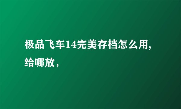 极品飞车14完美存档怎么用,给哪放，