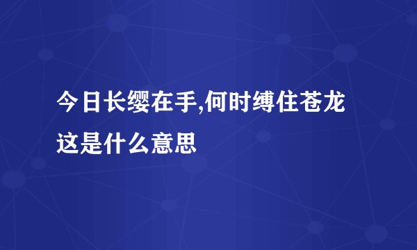 今日长缨在手,何时缚住苍龙这是什么意思