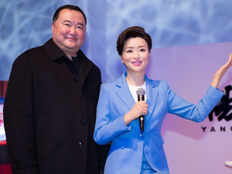 杨澜现任丈夫真实