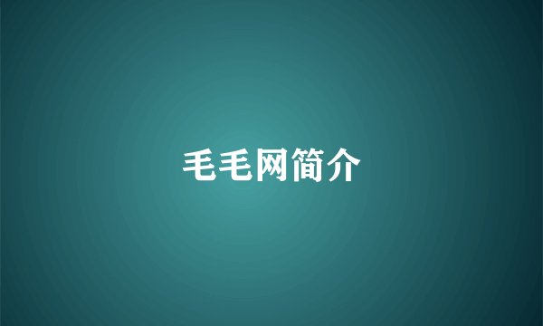 毛毛网简介