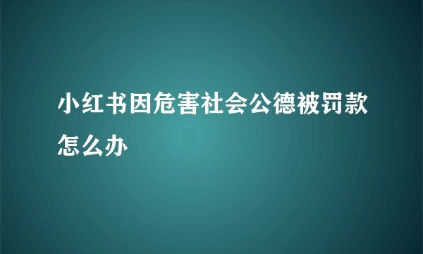 小红书因危害社会公德被罚款怎么办