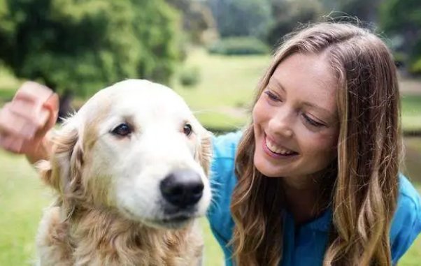 萧墙之祸代表什么动物