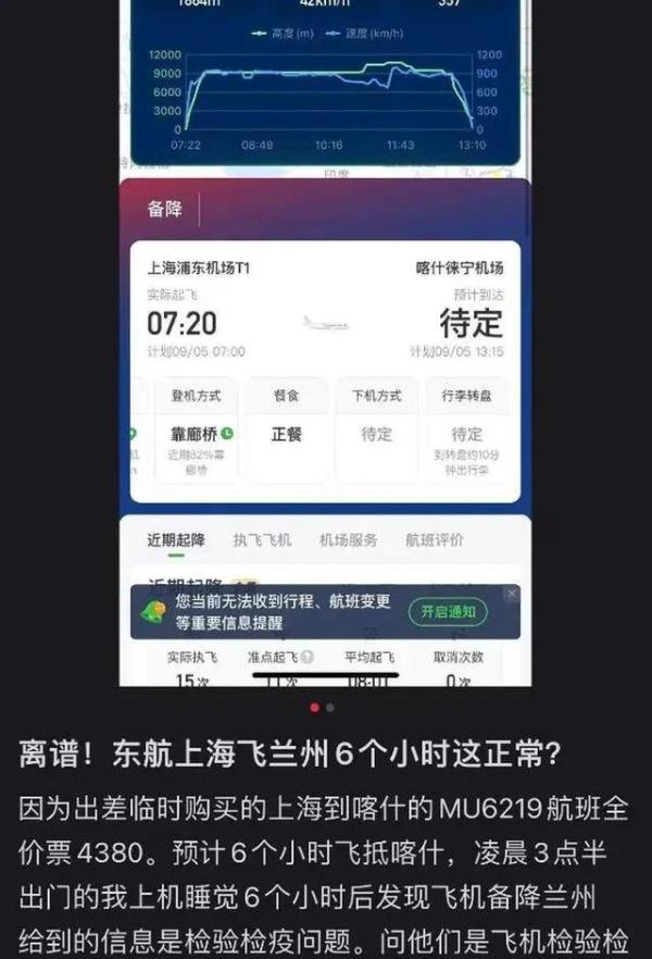 东航一航班飞行途中备降,老鼠成机上“不速之客”,确认为小家鼠