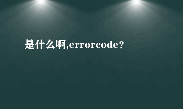 是什么啊,errorcode？