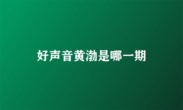 好声音黄渤是哪一期