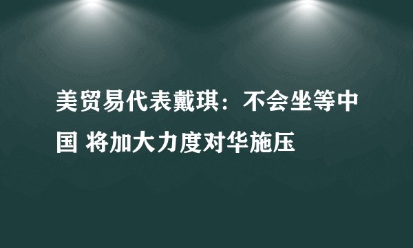 美贸易代表戴琪：不会坐等中国 将加大力度对华施压