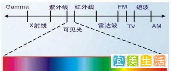 一加 8 Pro 相机暗藏“透视”功能？官方：只是红外摄影效果，功能没那么强大