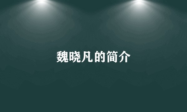 魏晓凡的简介