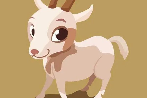 白首如新打一正确生肖