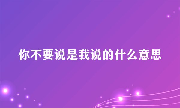 你不要说是我说的什么意思