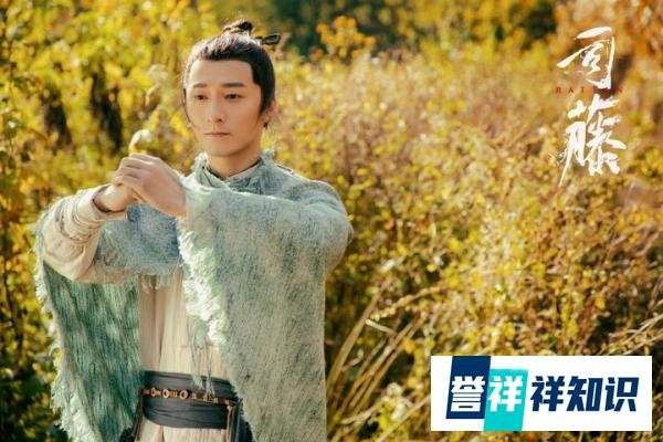 《司藤》：丘山为何如此痛恨苅族？其实他也是可怜之人