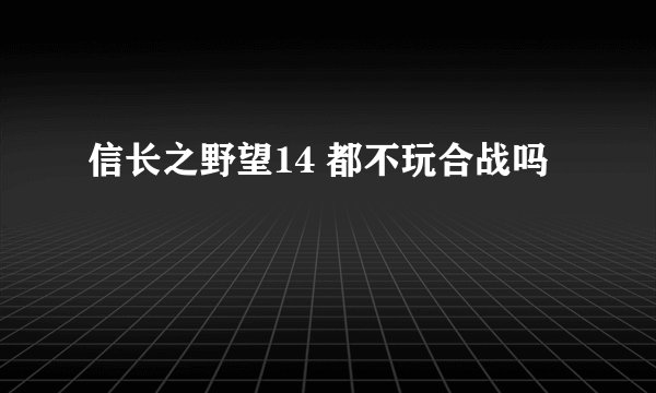 信长之野望14 都不玩合战吗