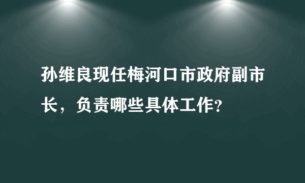 孙维良现任梅河口市政府副市长，负责哪些具体工作？