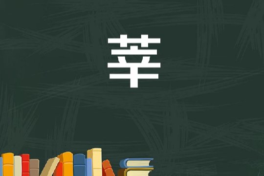 王莘怎么读