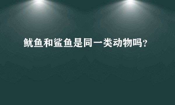 鱿鱼和鲨鱼是同一类动物吗？