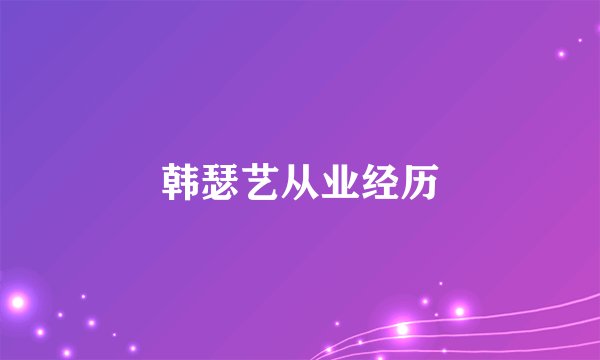 韩瑟艺从业经历