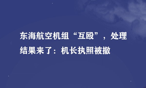 东海航空机组“互殴”，处理结果来了：机长执照被撤