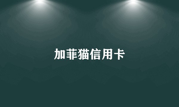 加菲猫信用卡