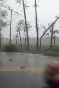 黑龙江乡镇遭龙卷风房盖满天飞，该怎么安置村民住宅问题？