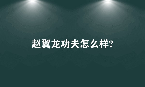 赵翼龙功夫怎么样?