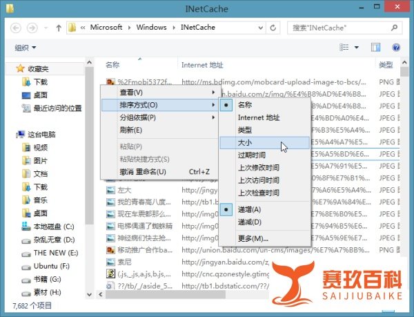 如何提取IE缓存文件