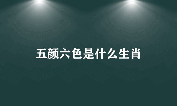 五颜六色是什么生肖