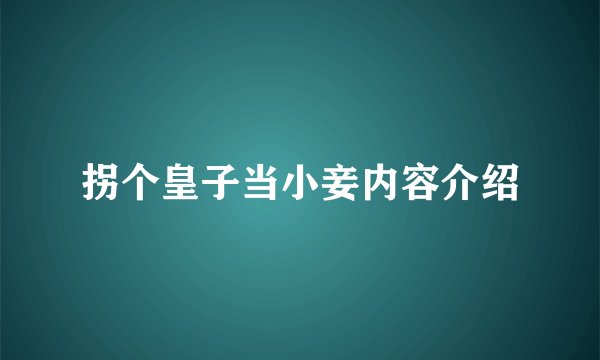 拐个皇子当小妾内容介绍
