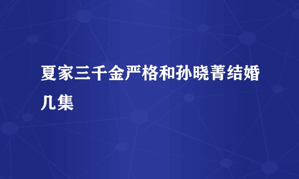 夏家三千金严格和孙晓菁结婚几集