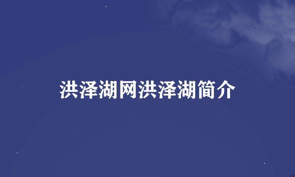 洪泽湖网洪泽湖简介