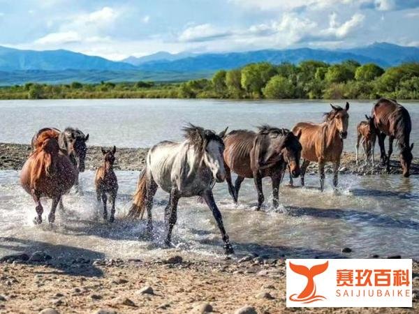 伊犁疫情不影响新疆旅游