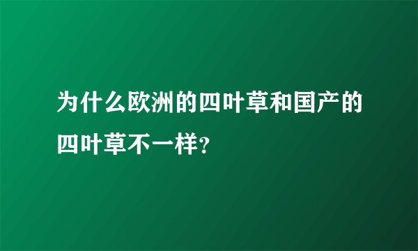 为什么欧洲的四叶草和国产的四叶草不一样？
