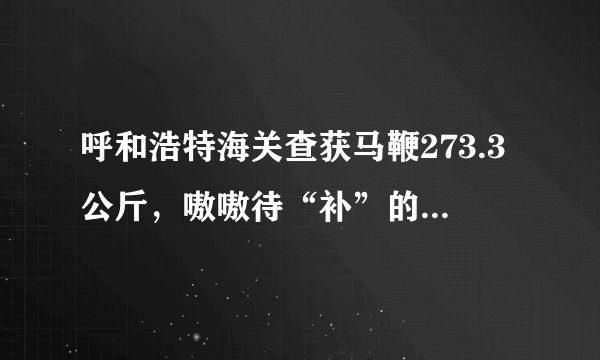 呼和浩特海关查获马鞭273.3公斤，嗷嗷待“补”的是肾还是脑？
