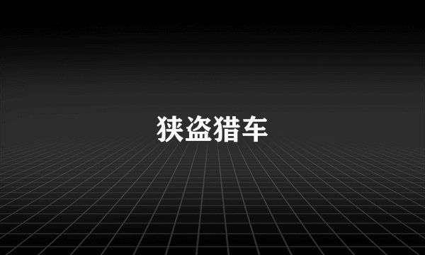 狭盗猎车